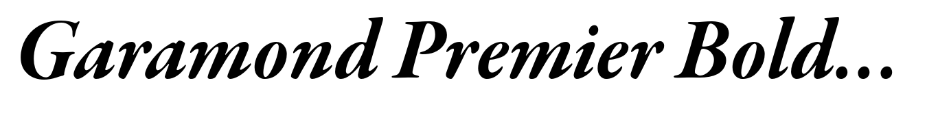 Garamond Premier Bold Italic Subhead